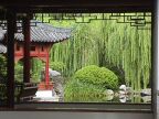 Chinese Garden.JPG (76 KB)